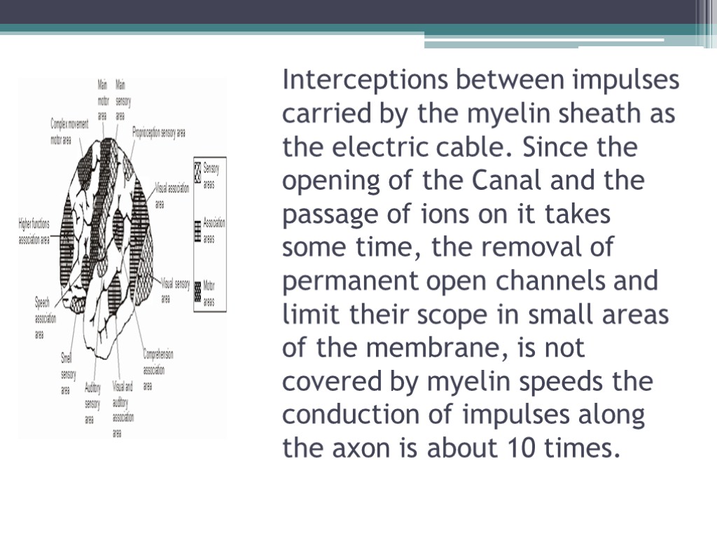 Interceptions between impulses carried by the myelin sheath as the electric cable. Since the